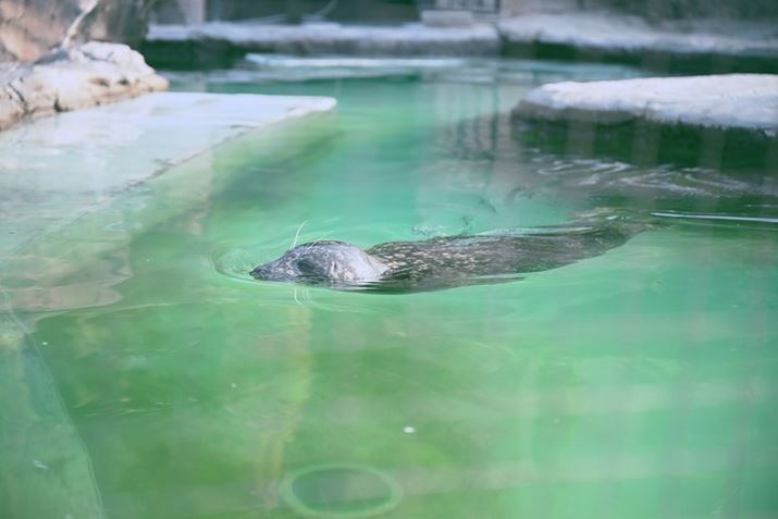 Z 8ANIKKOR Z 24-70mm f/2.8 SA70mmAiDI[gAF2.8A1/200bAISO100A+0.7EVAzCgoXFܓVAsN`[Rg[FPUREA߃JX^}CY3ŎBe