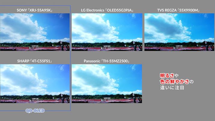 uЊL܂v̒̉ԉ΂̃V[B邳┒E̍ČȂǂɒڂ