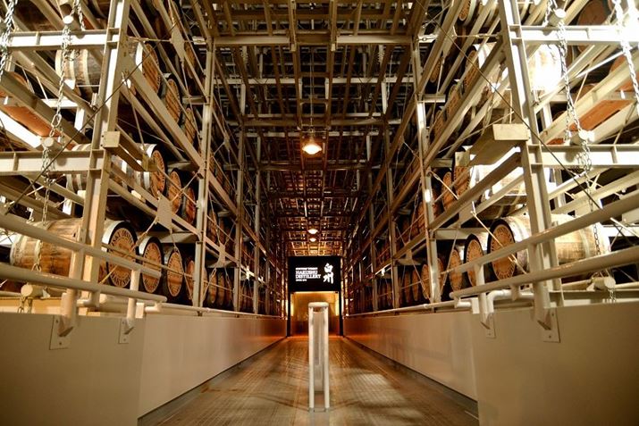 uBvɂMɂ̂ЂƂBȂA2023NŏvH50N}܂