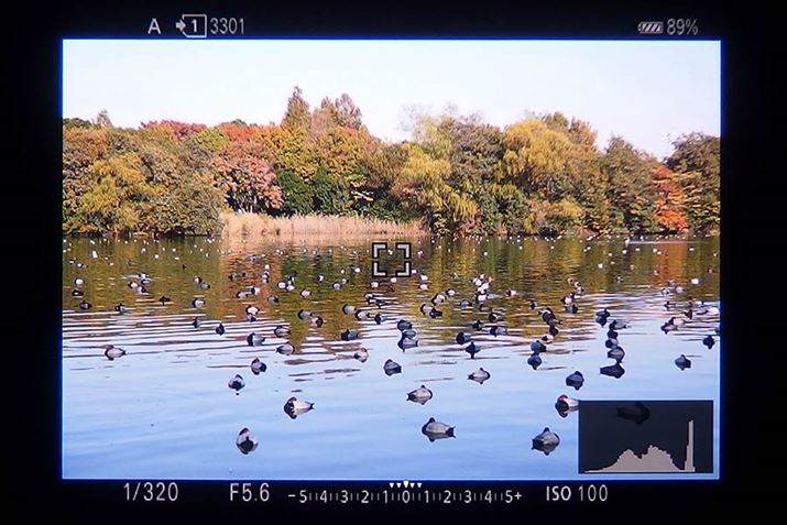 EVFɃqXgO\ԁBt@C_[ɑʂȏ\ĎBeł܂iEVF̓\j[u1v̗j