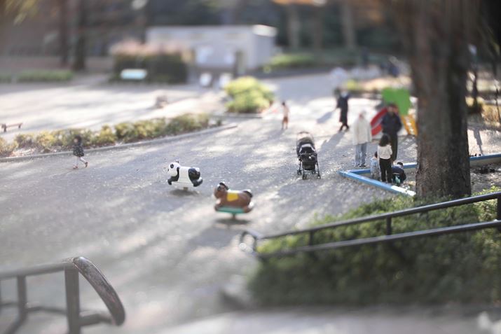 EOS R6 Mark IIATTArtisan Tilt 50mm f/1.4AF1.4A1/400bAISO100A+1.0EVAzCgoXFI[gAsN`[X^CFX^_[h