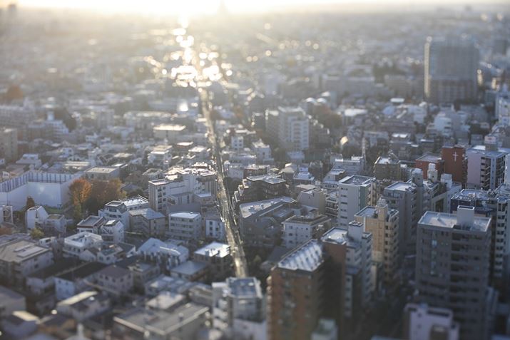 EOS R6 Mark IIATTArtisan Tilt 50mm f/1.4AF2.8A1/320bAISO100A+0.7EVAzCgoXFI[gAsN`[X^CFX^_[h