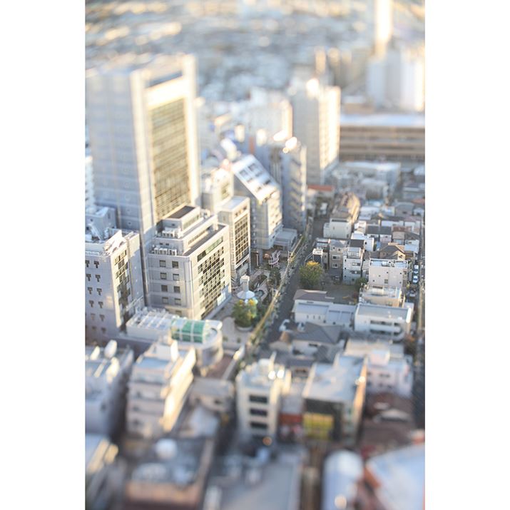 EOS R6 Mark IIATTArtisan Tilt 50mm f/1.4AF2.8A1/80bAISO100A+1.3EVAzCgoXFI[gAsN`[X^CFX^_[h