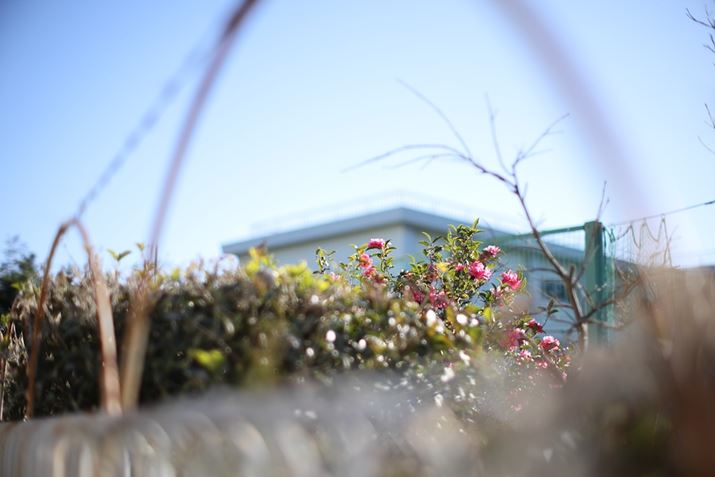 EOS R6 Mark IIATTArtisan Tilt 50mm f/1.4AF1.4A1/3200bAISO100A+1.0EVAzCgoXFI[gAsN`[X^CFX^_[hBeʐ^i6000×4000A10.3MBj