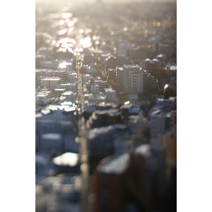 EOS R6 Mark IIATTArtisan Tilt 50mm f/1.4AF2.8A1/3200bA␳AISO100AzCgoXFI[gAsN`[X^CFX^_[h