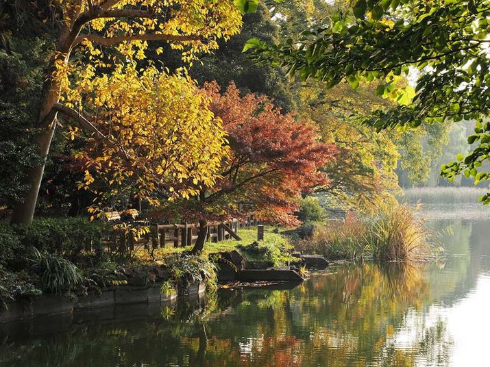 uOM-1vŎBeBi̎RiȂǂ͏tH[JXGA߁A΂񌩂|CgŃsg킹̂߂Błʒt߂̍gtŃsg킹sĂOM-1AM.ZUIKO DIGITAL ED 12-100mm F4.0 IS PROA38mmAiDAEAF8A1/80bAISO250A-0.7EVAzCgoXFܓVAsN`[[hFi-FinishBeʐ^i5184×3888A13.1MBj