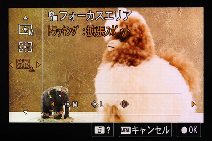 u7R Vv̐ݒʁBgbLO̓tH[JXGA̍ړIł