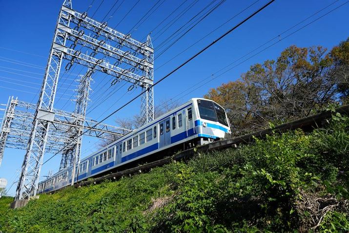 ̂̎BeɂewAF͑Ϗd󂷂BɘAʋ@\g킸1BeŃVb^[`X_ƂȂǂ͕֗BmɃVb^[؂郿7R VAFE 24-105mm F4 G OSSA24mmA}jAAF5.6A1/2000bAISO500AzCgoXFzANGCeBubNFVVBeʐ^i9504×6336A51.1MBj