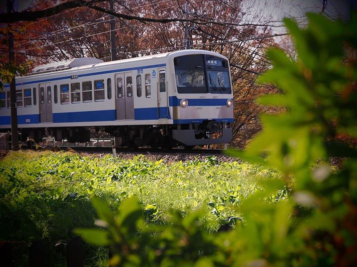 ʑ̌odԂɐݒ肵āuOM-1vŎBeBuOM-1vɂ́uC-AFǏ]xvƂڂŁAʑ̂ւ̒Ǐ]5iKݒłBł͒Pő苎dԂ̎BeȂ̂ŕWI0IłOM-1AM.ZUIKO DIGITAL ED 12-100mm F4.0 IS PROA31mmAVb^[DAEAF4A1/2000bAISO640A-0.3EVAzCgoXFVAsN`[[hFgCtHgIIIBeʐ^i5184×3888A12.4MBj