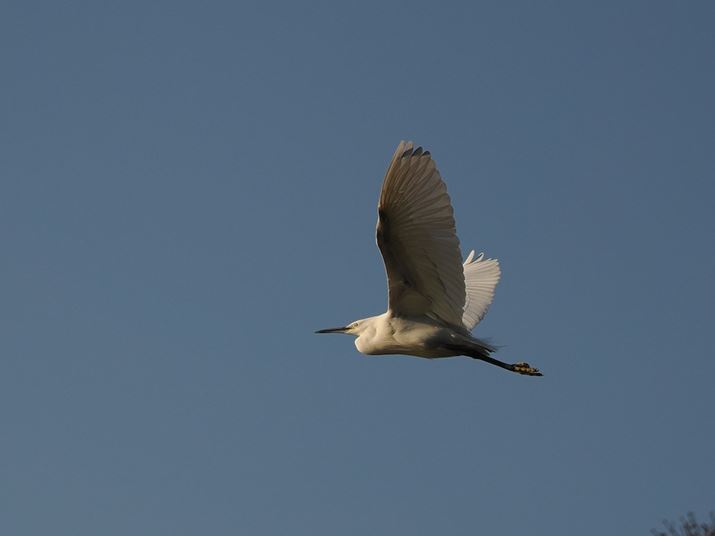 쒹ԎpuOM-1vŎBeBBeɃJŃNbvBˑR̃V[JX^[hp΁AĎBeɗՂ߂OM-1AM.ZUIKO DIGITAL ED 12-100mm F4.0 IS PROA100mmAiDAEAF4A1/4000bAISO200A-0.7EVAzCgoXFAAsN`[[hFi-FinishBeʐ^i2560×1920A3.6MBj