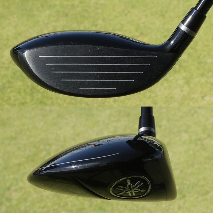 tF[X͂قǍȂAKxȃV[obNŏオ₷ȃtHł