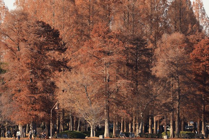 EOS R3ARF200-800mm F6.3-9 IS USMA800mmAF9.0A1/125bAISO100A-0.7EVAzCgoXFAAsN`[X^CFiBeʐ^i6000×4000A23.1MBj