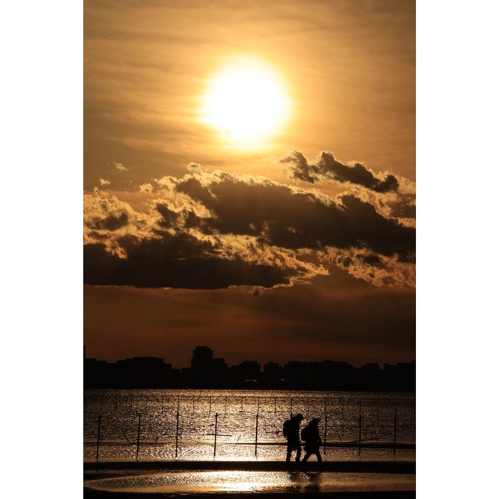 EOS R3ARF200-800mm F6.3-9 IS USMA200mmAF11A1/5000bAISO100AzCgoXFAAsN`[X^CFiBeʐ^i4000×6000A9.4MBj