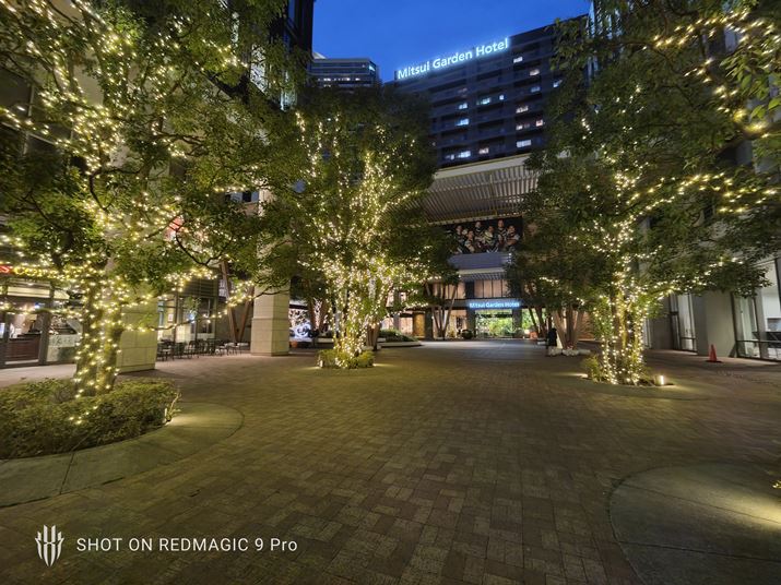 Ɠ\}𒴍LpJŎBeBwu␳Ȃ߂ALpJƔׂƎuɃVrAȈۂ󂯂