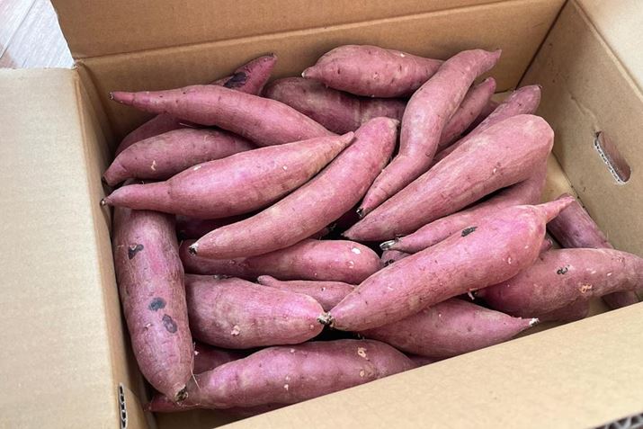 Ȃ̂ŁAM҂̓Tc}C_Ƃ񒼔̂ȁung͂邩v񂹂Ă݂܂