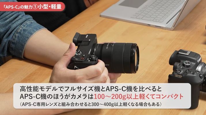 tTCY@APS-C@ׂAPS-C@̂ق100`200gȏyƂł