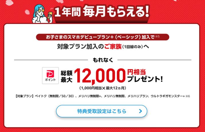 \tgoNfr[͐eɂTpӂĂAuyCgNvȂǑΏۃvɉĂƑ1ɑ΂12ԁA1,000~̃yCyC|Cgt^