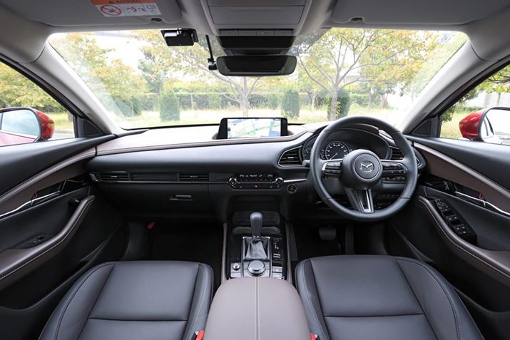 uCX-30ṽCeÁAfBXvCXCb`ȂǂhCo[֌zuƂȂĂAN}Ƃ̈̊߂Ău܂ꊴv\fUCƂȂĂ