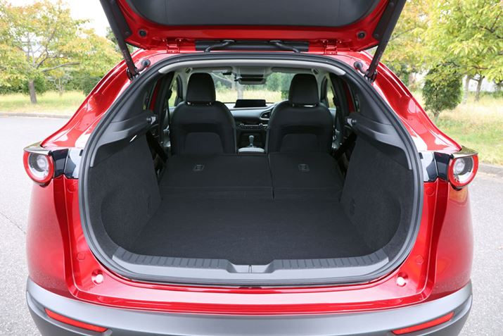 uCX-30ṽQbW[1,020mm̊JmۂĂAJ̍731mmɗ}Ă̂ŁA傫ȉו̐ςݍ~낵ȂǂNɍs