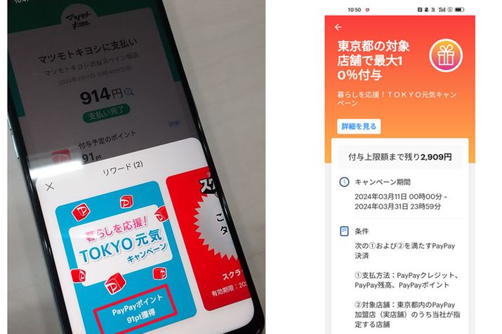 2024N3Ɏ{Ly[ł́AM҂s̑hbOXgAŔ10̃|Cglł܂iʐ^jBPayPayɂ́At^z܂ł̎czm点y[W܂iʐ^Ej