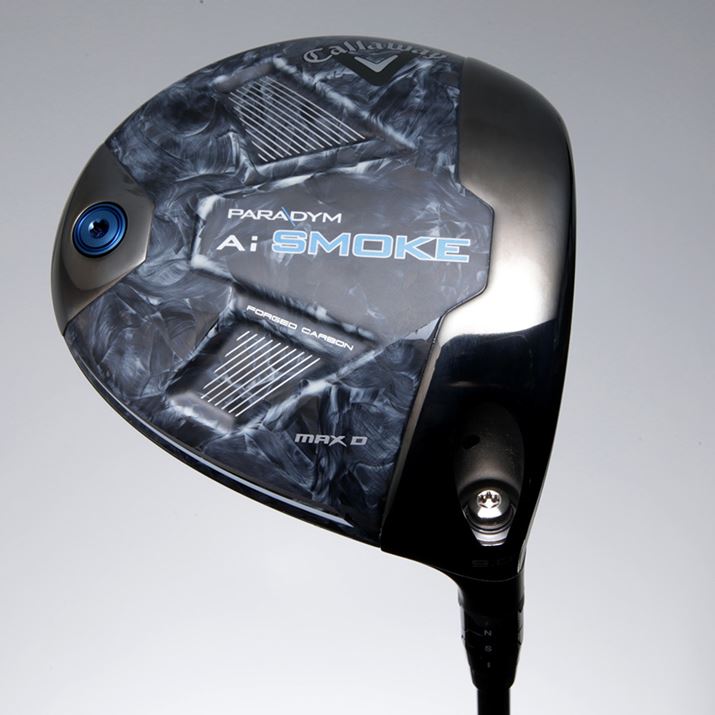 \[Ɍ\ȃEFCgЂƂڂĂ邾ŁA傫ȃM~bN͂܂BVvȎdオł