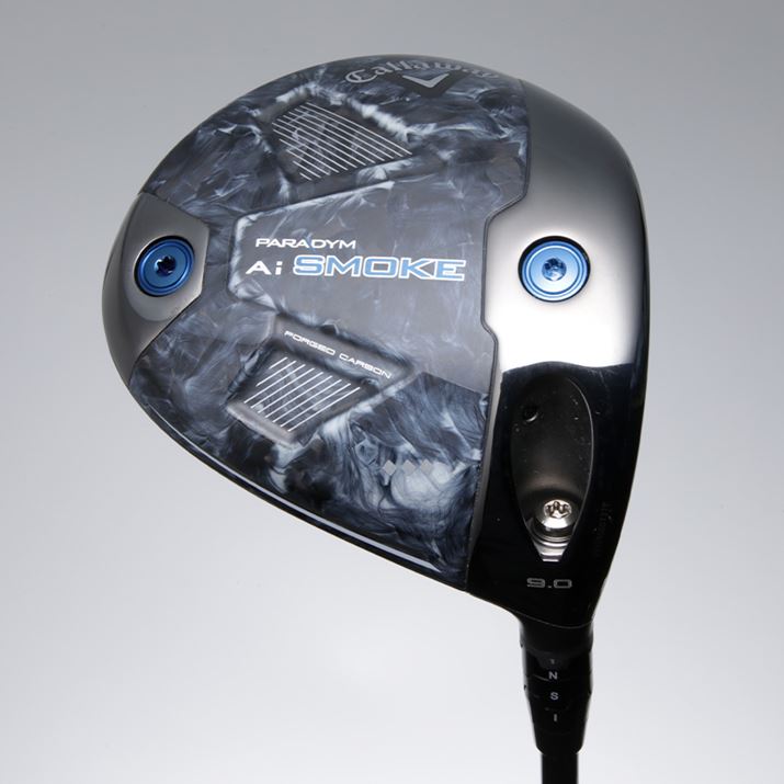 \[OƌɒE\ȃEFCg𓋍ځBOւ邱Ƃœς܂