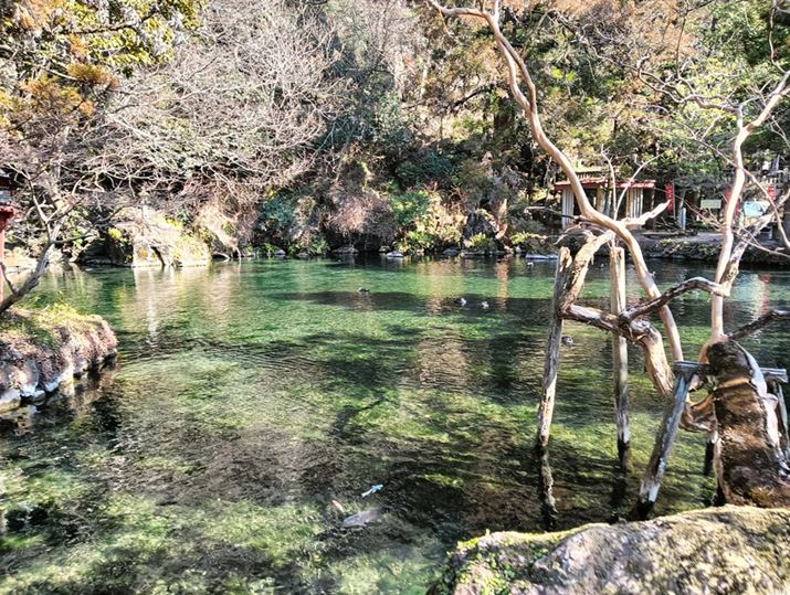 قڐ߂̓̕iBRgXg߂łƂہB𑜊قǂق