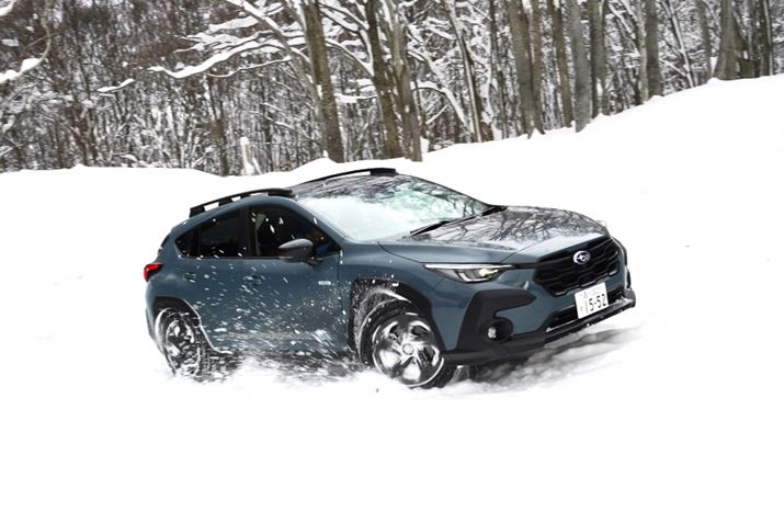 uNXgbNvŐጴ𑖔jBVgJAWD{̔V`G[Vł