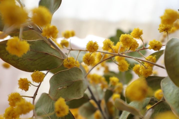 AF̍ŒZBe܂ŊĖ][ŎBeB5mmقǂ̂ȃ~ỦԂ̍ו܂łƕ`ʂĂ܂EOS R7ARF-S10-18mm F4.5-6.3 IS STMA18mmi35mmZ29mmjAF6.3A1/60bAISO200A+1.0EVAzCgoXFI[gAsN`[X^CFI[gBeʐ^i6960×4640A14.2MBj