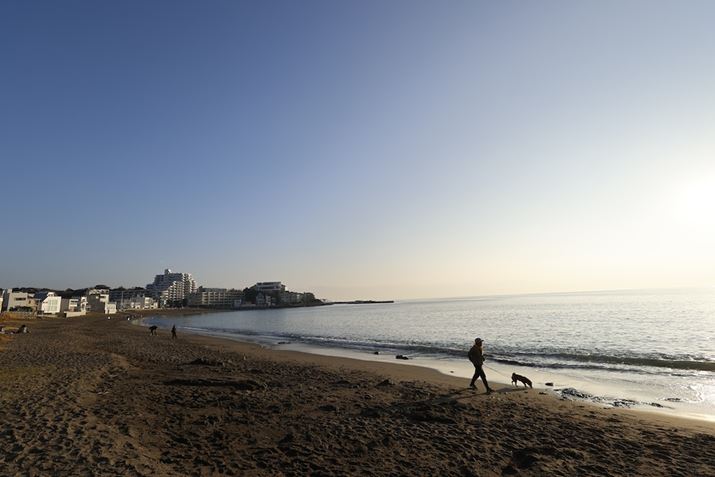 Lp[ŎBe1BTCh狭izjĂ܂AtAS[Xg͔Ă܂EOS R7ARF-S10-18mm F4.5-6.3 IS STMA10mmi35mmZ16mmjAF4.5A1/1250bAISO100A+0.3EVAzCgoXFI[gAsN`[X^CFI[g