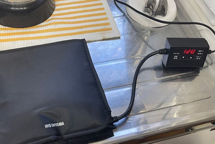 ́uIRIS OHYAMAṽS鑤ɂĕu܂