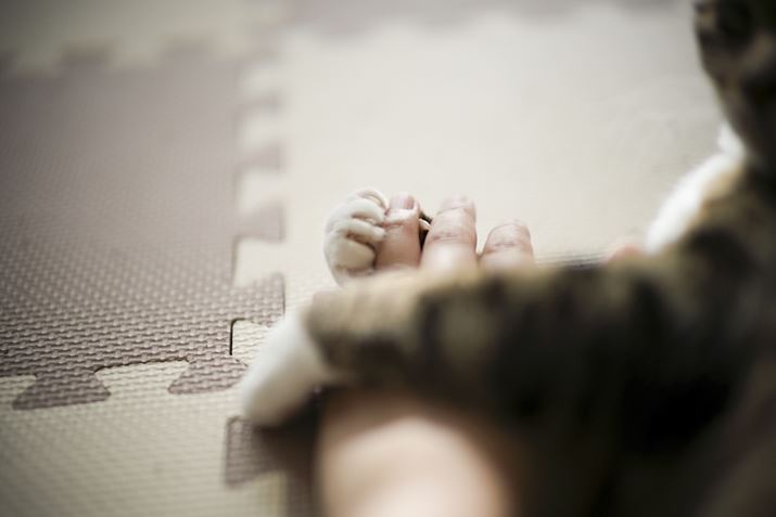 EOS R6 Mark IIANOKTON 50mm F1 AsphericalAF1.0A1/2000bAISO100A+0.3EVAsN`[X^CFX^_[hAzCgoXFI[gARAWBeʐ^i6000×4000A9.7MBj