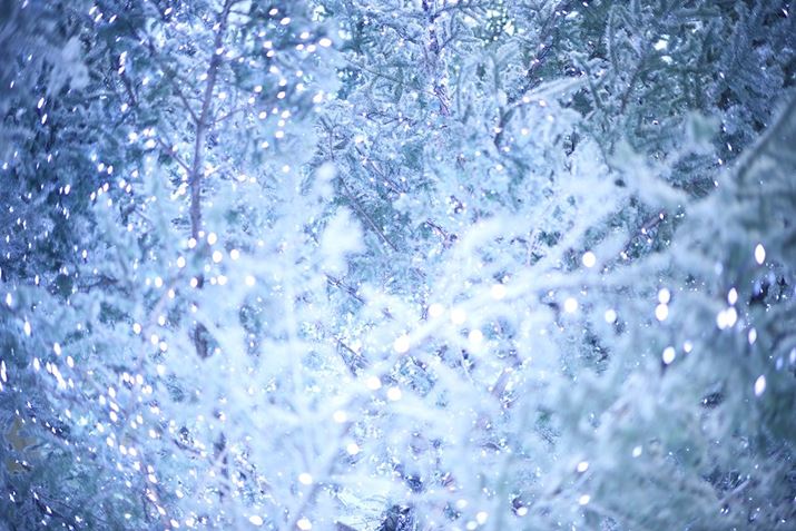 Ⴊς悤ȃNX}Xc[BeBzCgNX}Xȕ͋C߂RAWŃzCgoX𒲐܂EOS R6 Mark IIANOKTON 50mm F1 AsphericalAF1.0A1/60bAISO250A+2.0EVAsN`[X^CFX^_[hAzCgoXFJX^ARAWBeʐ^i6000×4000A17.1MBj