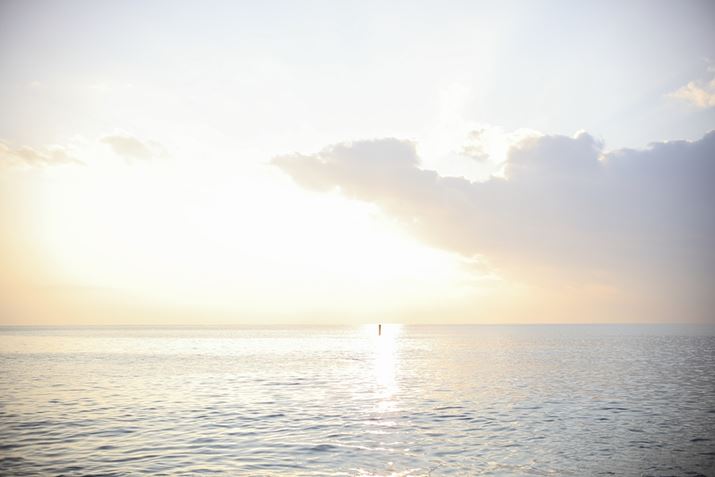 EOS R6 Mark IIANOKTON 50mm F1 AsphericalAF2A1/1000bAISO100A+3.0EVAsN`[X^CFX^_[hAzCgoXFI[gARAWBeʐ^i6000×4000A9.0MBj