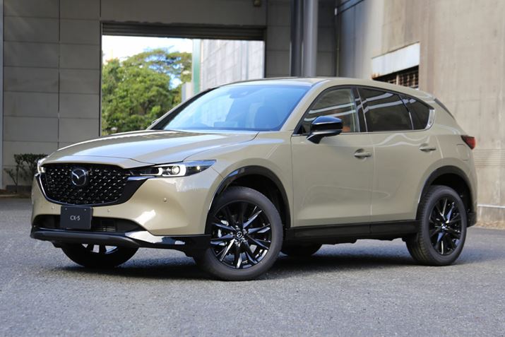 VbNȃ{fBJ[lĆuCX-5v