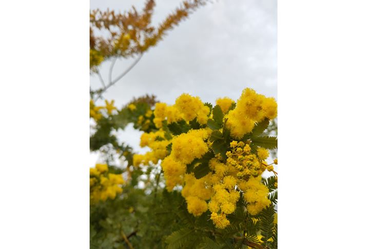 HDRɂĖÍ̃oXۂĂBIo␳Ė邭قAfȂBeʐ^i3072×4080A3.62MBj