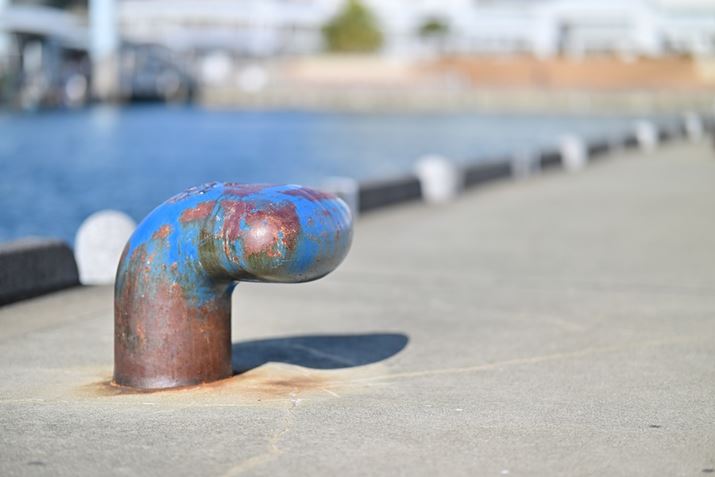 Z 8ANIKKOR Z 85mm f/1.2 SAF1.2A1/10000bAISO64AWBFRI[gAsN`[Rg[FrrbhBeʐ^i8256×5504j