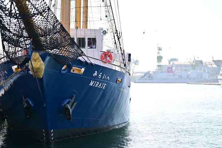 Z 8ANIKKOR Z 85mm f/1.2 SAF1.2A1/3200bAISO64A+1.0EVAWBFRI[gAsN`[Rg[FrrbhBeʐ^i8256×5504j