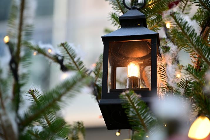 Z 8ANIKKOR Z 24-120mm f/4 SA120mmAF4A1/125bAISO200A+1.0EVAWBFRI[gAsN`[Rg[FrrbhBeʐ^i8256×5504j