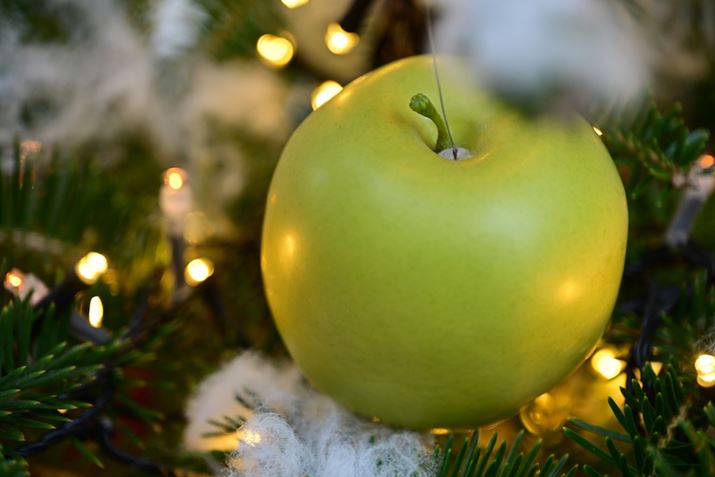 Z 8ANIKKOR Z 24-120mm f/4 SA120mmAF4A1/125bAISO200A+1.0EVAWBFRI[gAsN`[Rg[FrrbhBeʐ^i8256×5504j