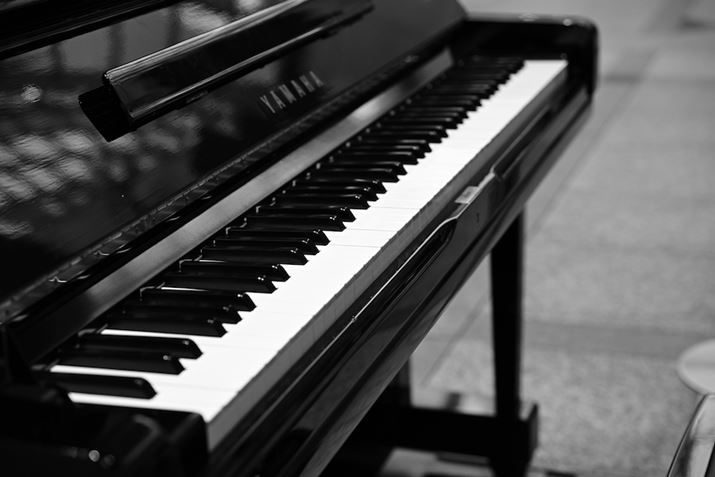 Z 8ANIKKOR Z 24-120mm f/4 SA62mmAF4A1/400bAISO640A+1.0EVAWBFRI[gAsN`[Rg[FmN[Beʐ^i8256×5504j