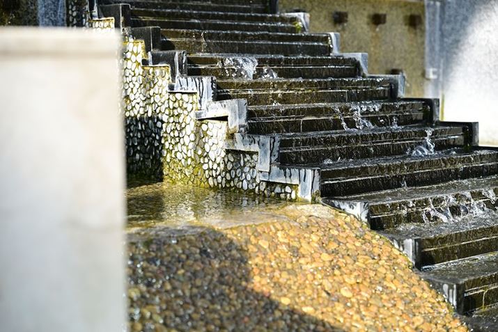 Z 8ANIKKOR Z 24-120mm f/4 SA68mmAF4A1/1600bAISO640A+1.0EVAWBFRI[gAsN`[Rg[FrrbhBeʐ^i8256×5504j