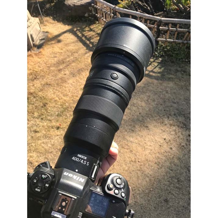 uNIKKOR Z 400mm f/4.5 VR SvƁuZ 8v̑gݍ킹