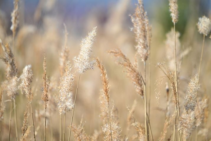 Z 8ANIKKOR Z 400mm f/4.5 VR SAF4.5A1/1600bAISO360A+1.0EVAWBFRI[gAsN`[Rg[FiBeʐ^i8256×5504j