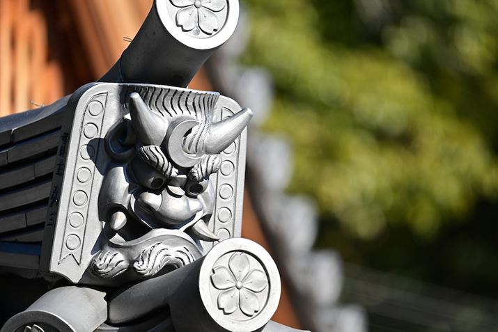 Z 8ANIKKOR Z 400mm f/4.5 VR SAF4.5A1/2000bAISO640A+1.0EVAWBFRI[gAsN`[Rg[FiBeʐ^i8256×5504j