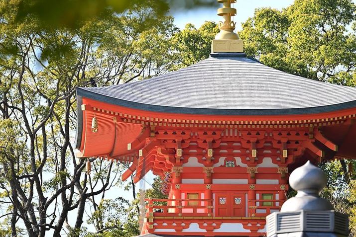 Z 8ANIKKOR Z 400mm f/4.5 VR SAF4.5A1/2000bAISO800A+1.0EVAWBFRI[gAsN`[Rg[FiBeʐ^i8256×5504j