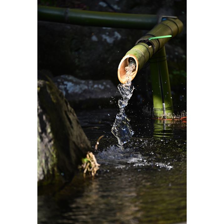 Z 8ANIKKOR Z 400mm f/4.5 VR SAF4.5A1/2000bAISO800A+1.0EVAWBFRI[gAsN`[Rg[FiBeʐ^i5504×8256j