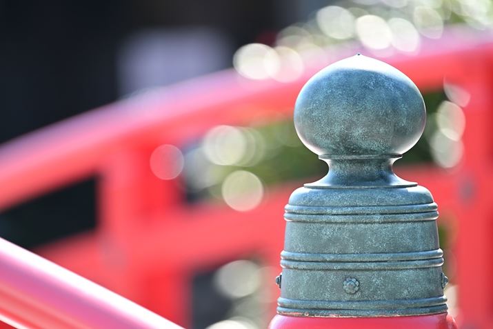 Z 8ANIKKOR Z 400mm f/4.5 VR SAF4.5A1/640bAISO500A+1.0EVAWBFRI[gAsN`[Rg[FiBeʐ^i8256×5504j