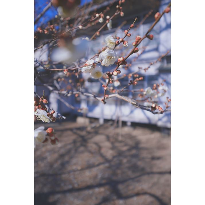 傤Ǒ炫̔~̉Ԃ𔭌B̂悤ɔʊE[x󂭂āAs|CgŎʂʂł́AsgɂłBȂƂMFpłBȂBeł܂6700A10-18mm F2.8 DC DNA17mmi35mmZ26mmjAF2.8A1/2500bAISO100A-0.7EVAzCgoXFzANGCeBubNFSH