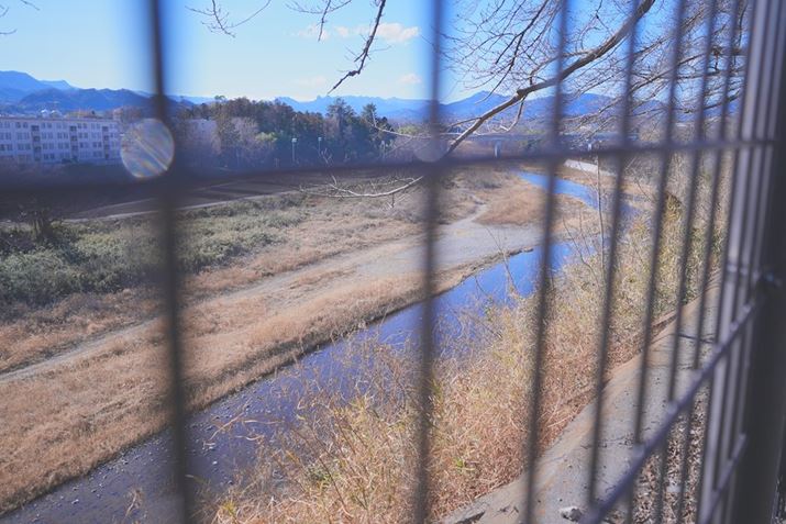 ̂ɂ́AL삪Ă܂Bxɐꂪł̂́A炱̒nŗ{\Ƃ񂾂炾Ƃ6700A10-18mm F2.8 DC DNA17mmi35mmZ26mmjAF2.8A1/1600bAISO100A-0.7EVAzCgoXFzANGCeBubNFSH